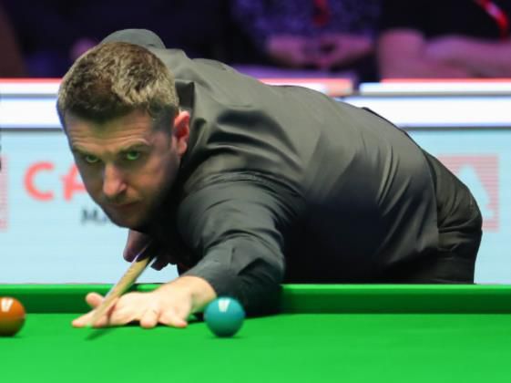 中文蝴蝶网