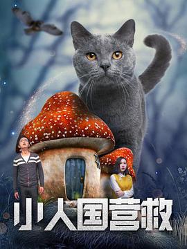 美女福利视频一区二区