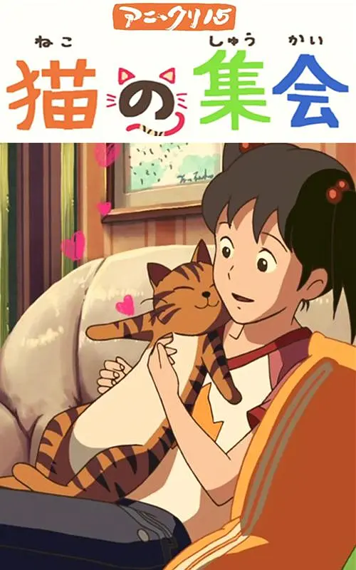 5g探花
