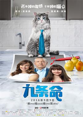 人人看人人插