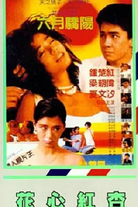 美国式忌3