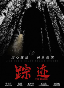 成人精品在线视频