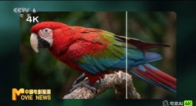 中文字幕av一区,二区